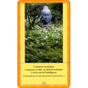 Osho Decouvrez Bouddha French Edition kortos AGM